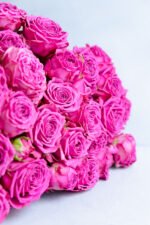 Classic Sensation - Image 3