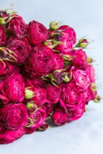 Party Trendsetter - Image 3