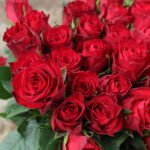 Madam Red Rožės - Image 2