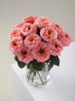 Mandarin X-pression - Image 4