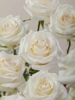 Candlelight - Image 2