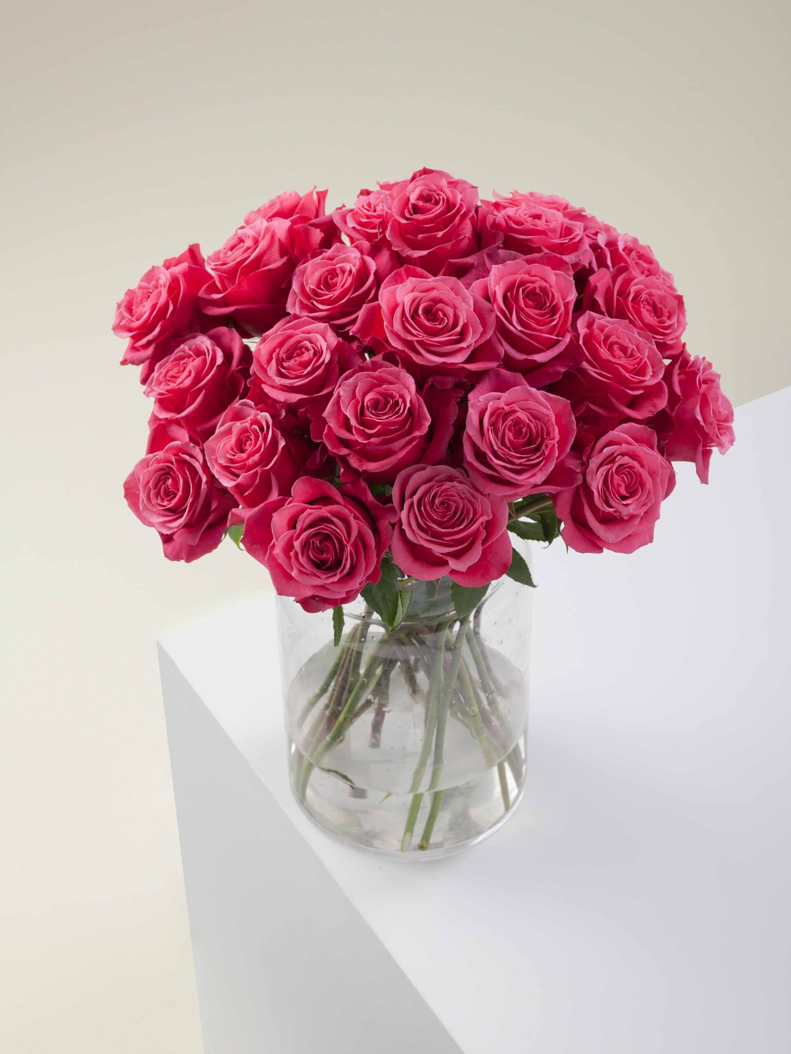 Cherry_O_Conceptual_View.jpg Cherry O - Image 1