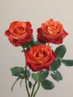 Coffee Break - Image 5