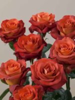 Coffee Break - Image 3