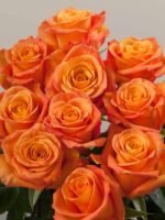 Confidential - Image 3