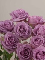 Cool Water - Image 3