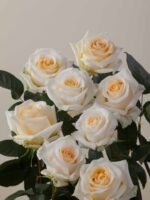 Crème de la Crème - Image 3