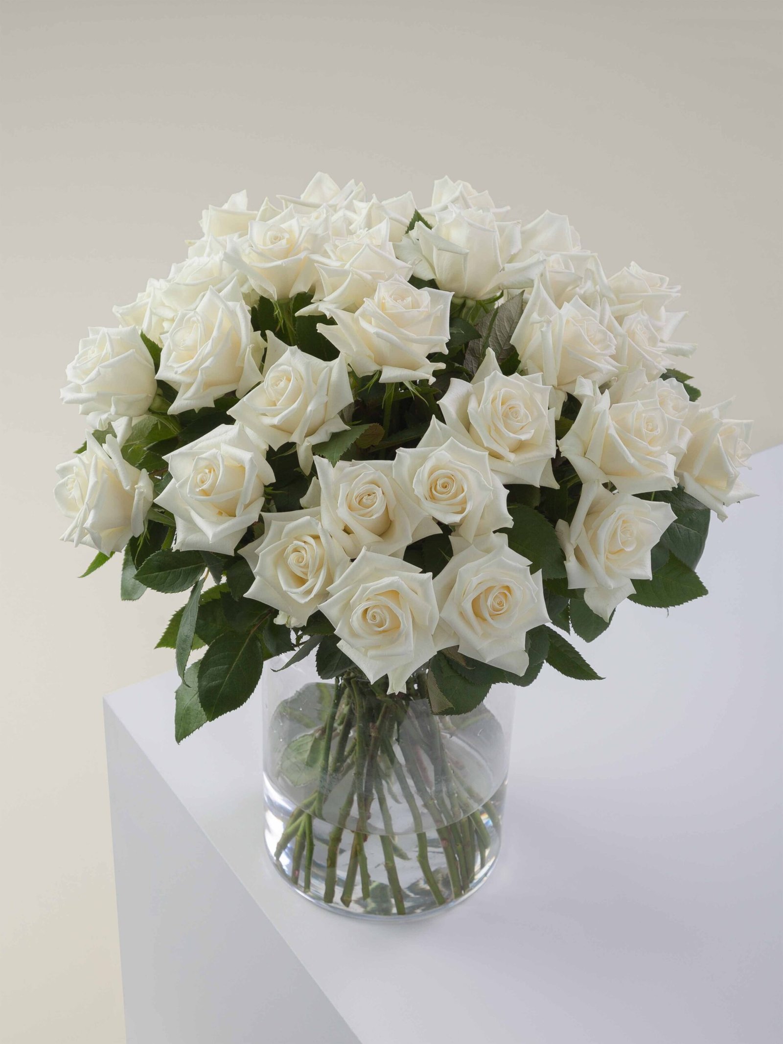 Escimo_Conceptual_View.jpg Escimo - Image 1