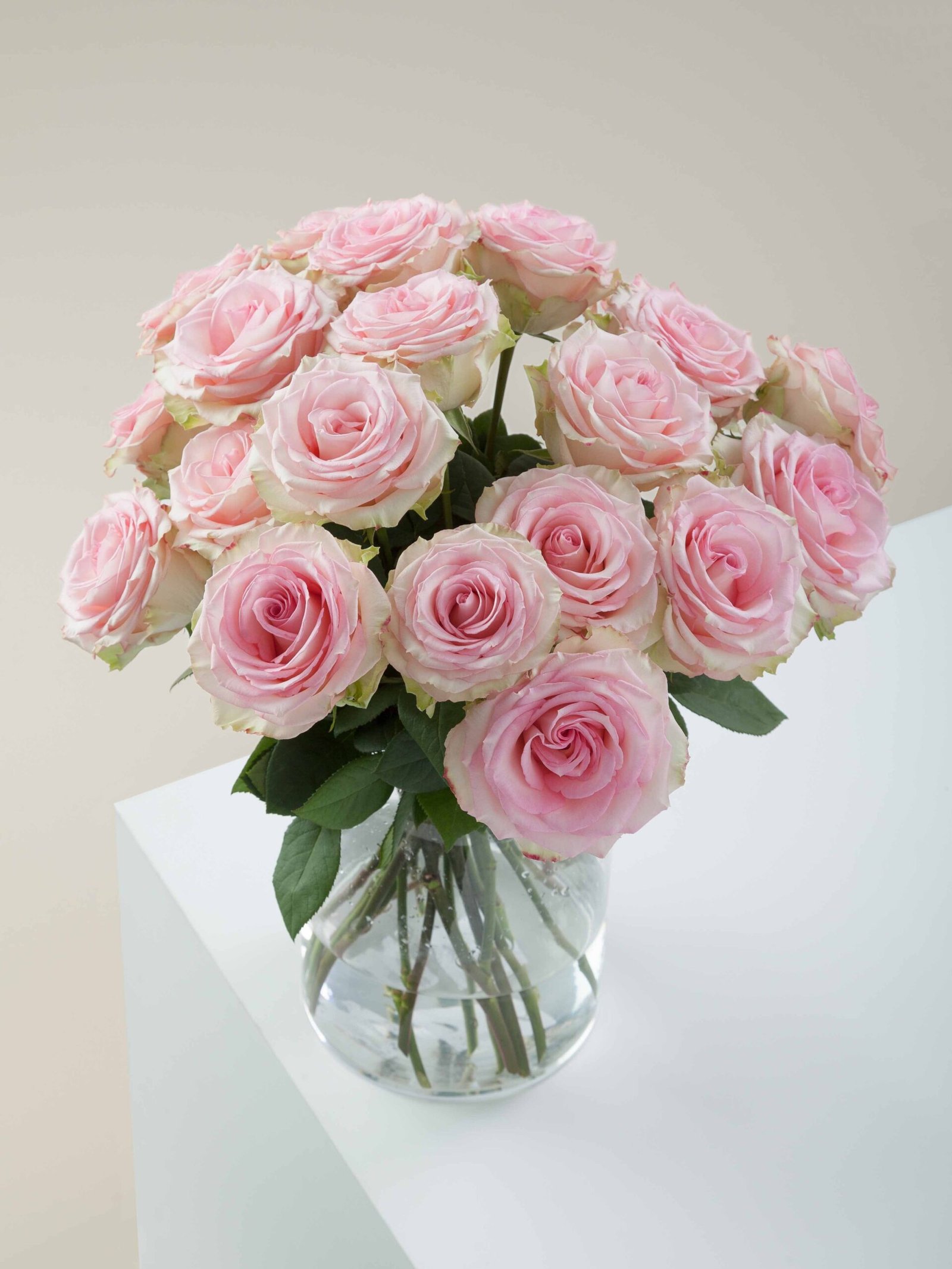 Esperance_Conceptual_View.jpg Esperance - Image 1