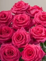 Full Monty - Image 3