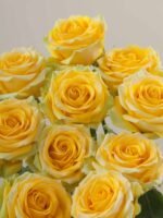 High & Exotic - Image 3