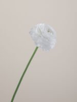 Elegance Bianco - Image 4