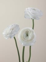 Elegance Bianco - Image 5